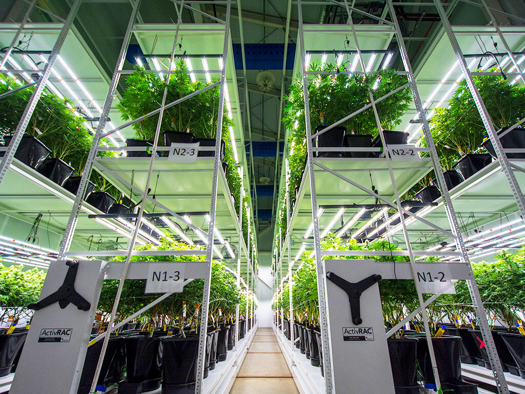 Cannabis Grow Room Spacesaver Vertical Racking.jpg