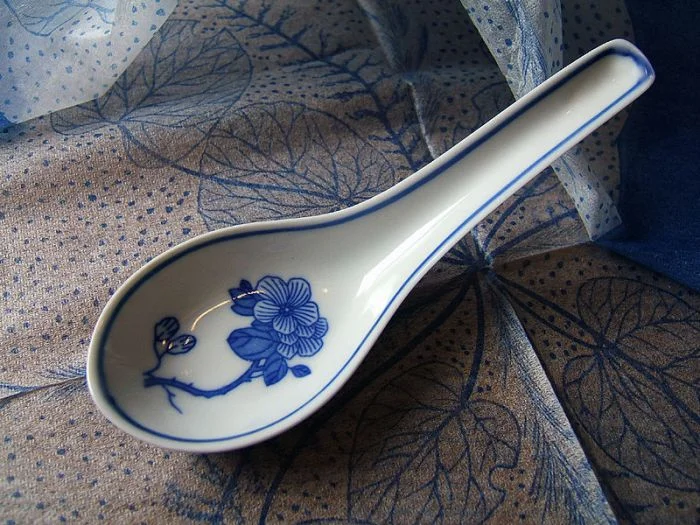 The Secret Tool of the Orient: Asian Spoon