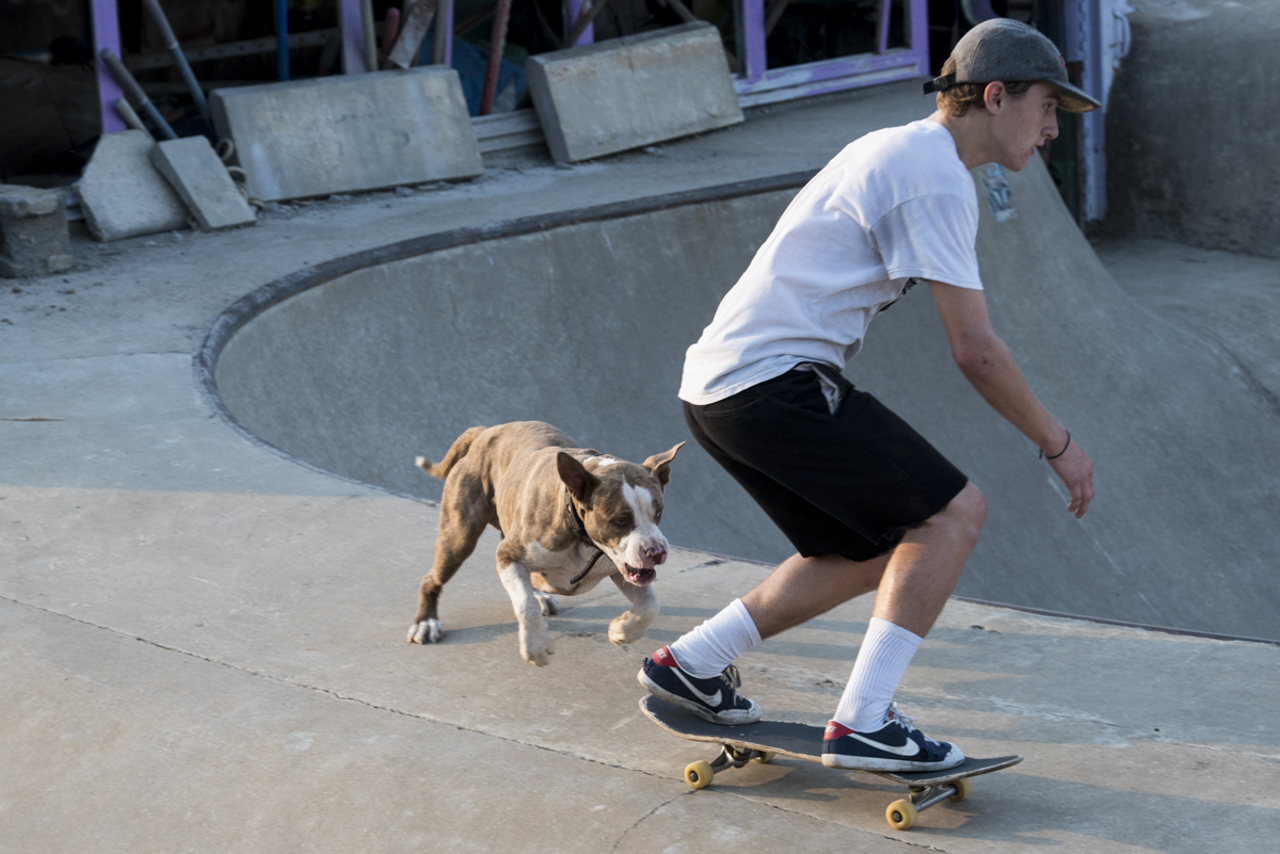 John Dwyre skates the Lula bowl with Sinbad the pit bull in chase.