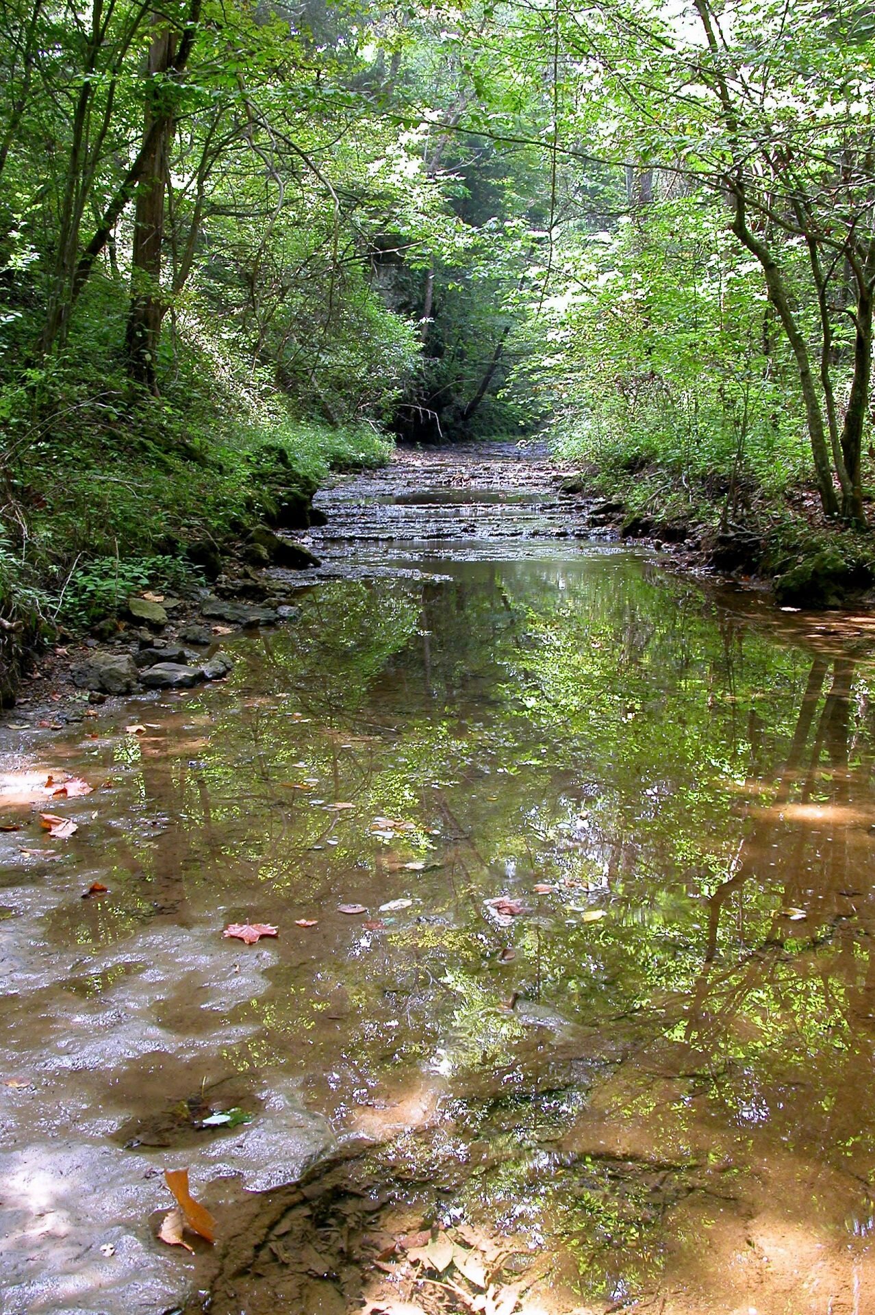 Main-stream-Chalet-Nivale.jpg