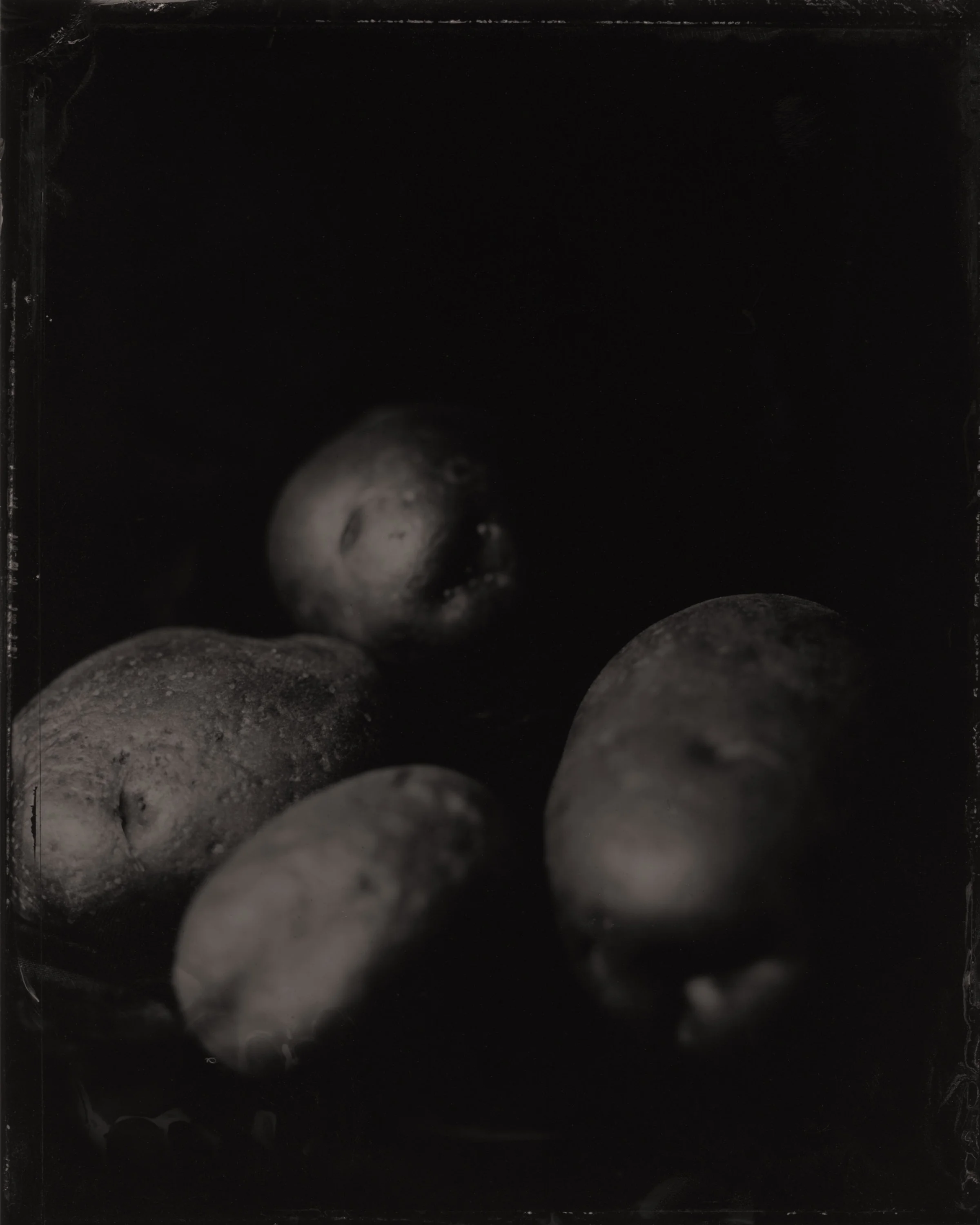 February Potatoes.jpg