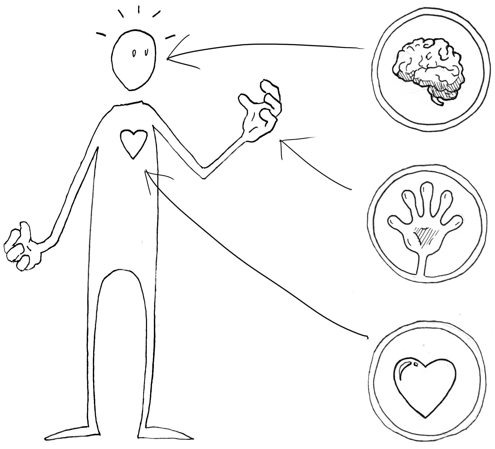 wholehuman.png