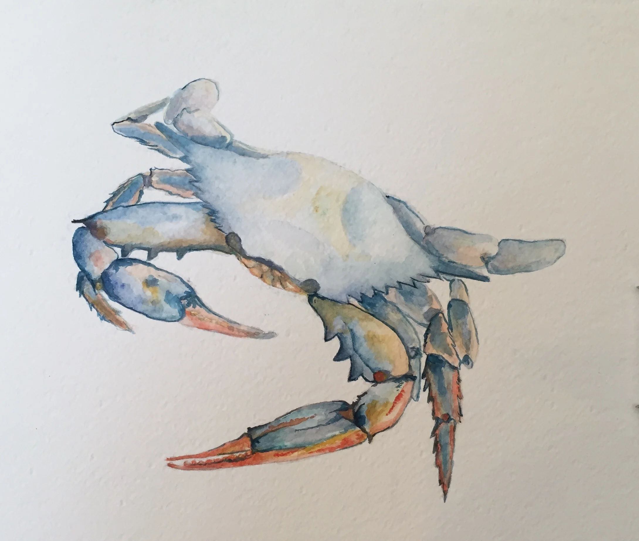 Crab.jpg