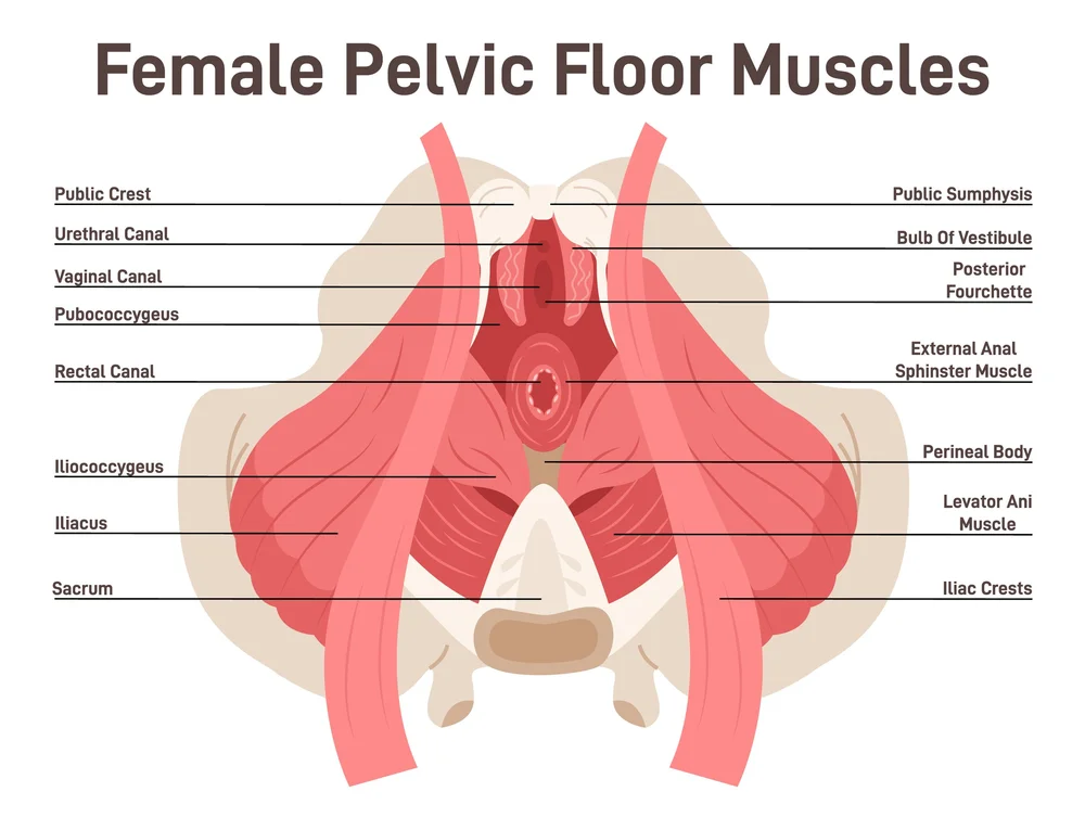 Denver Physical Therapy Klein Physical Therapy P C denver-physical-therapy-klein-physical-therapy-p-c
