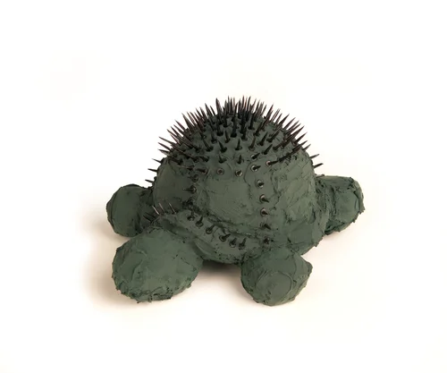 Turtle.jpg