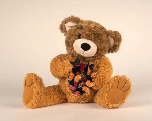 Butterfly Bear.jpeg