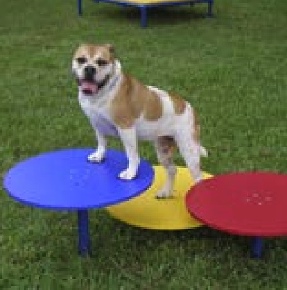 Dog Parks — PlayGO Co.