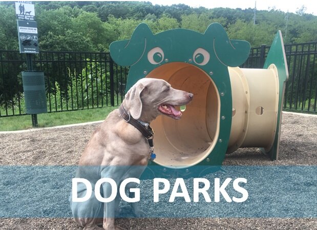 Dog Parks — PlayGO Co.
