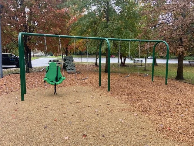 South Lakes Swing Set