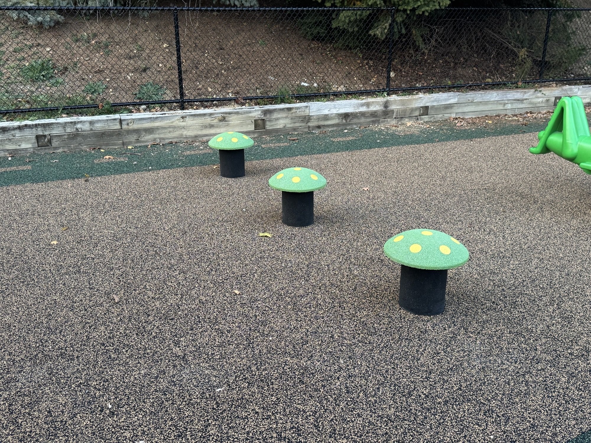 South Hills Interfaith Movement Stepping Mushrooms