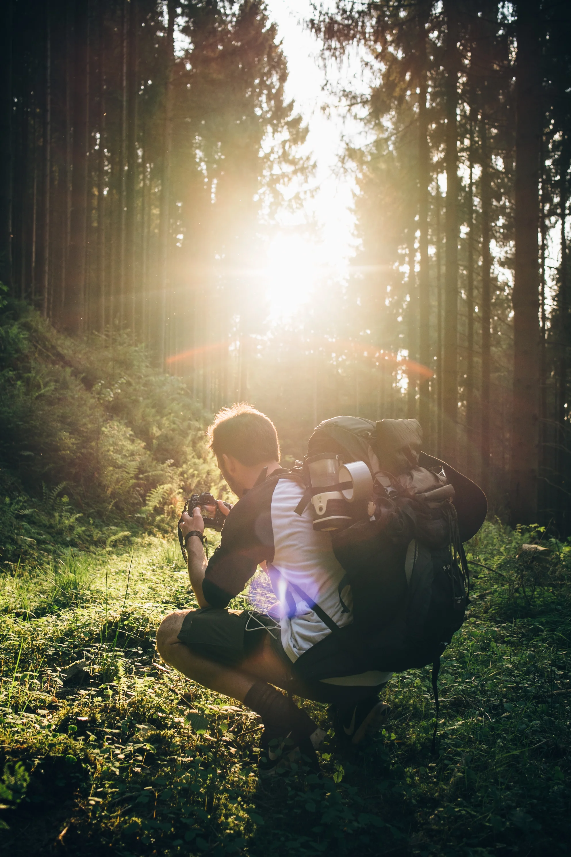 Best Hiking trips, trails, and tips for beginners : list by Angeloutdoors.com