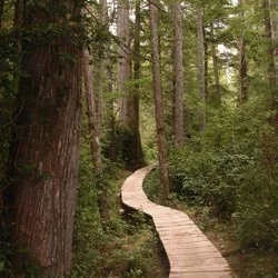Review of the Ozette Trail - OlYMPIC NATIONAL PARK Trails