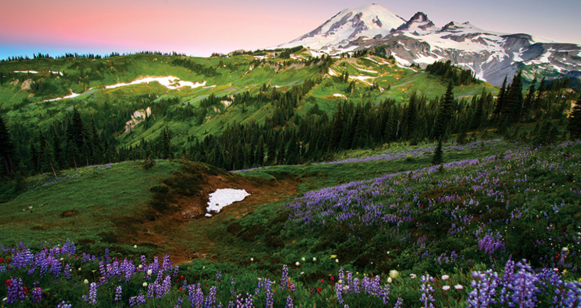 MOUNT RAINIER: ONE OF BEST TRAILS IN AMERICA FOR BACKPACKING AND HIKING.