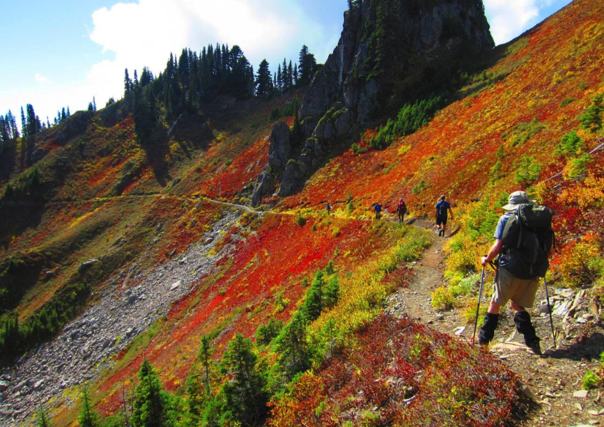 Beautiful image of Backpacking and hiking in Olympic national park: one of the best national parks in america.
