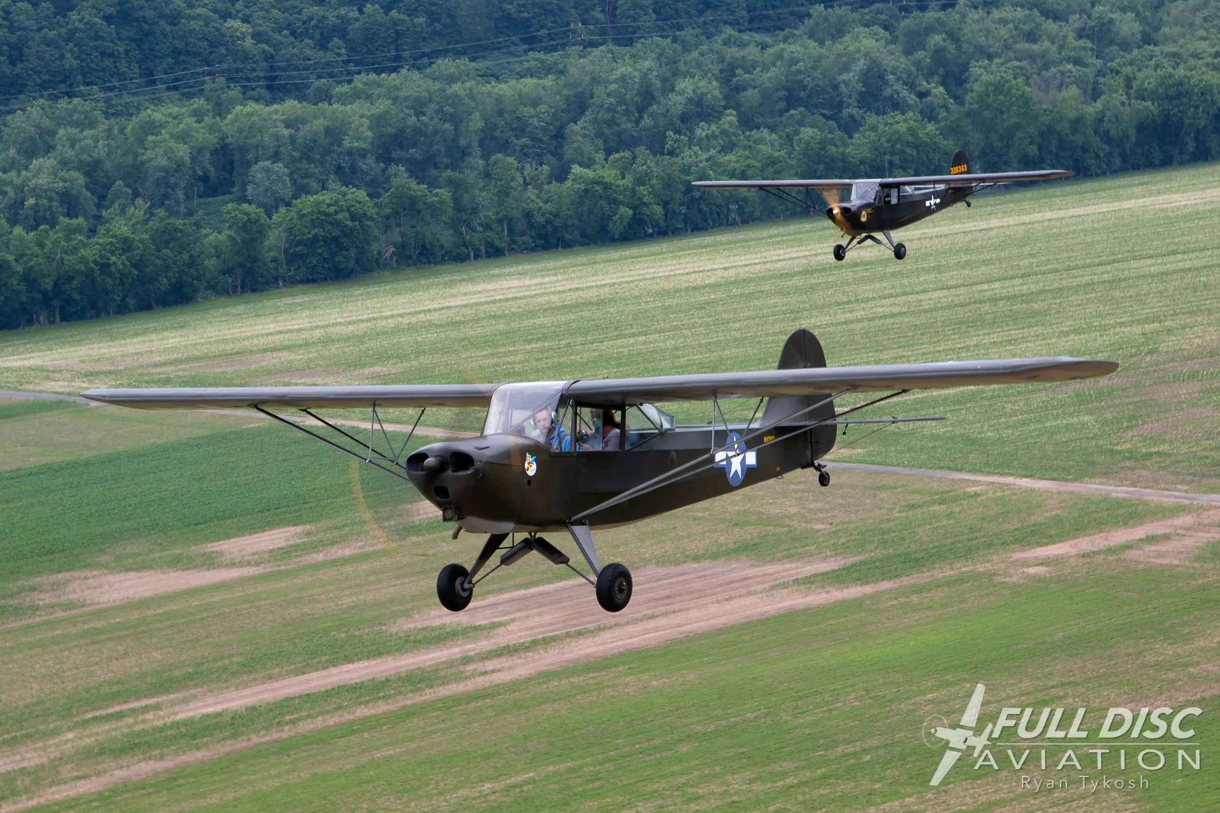Grasshopper Tykosh-June 22, 2018-07.jpg