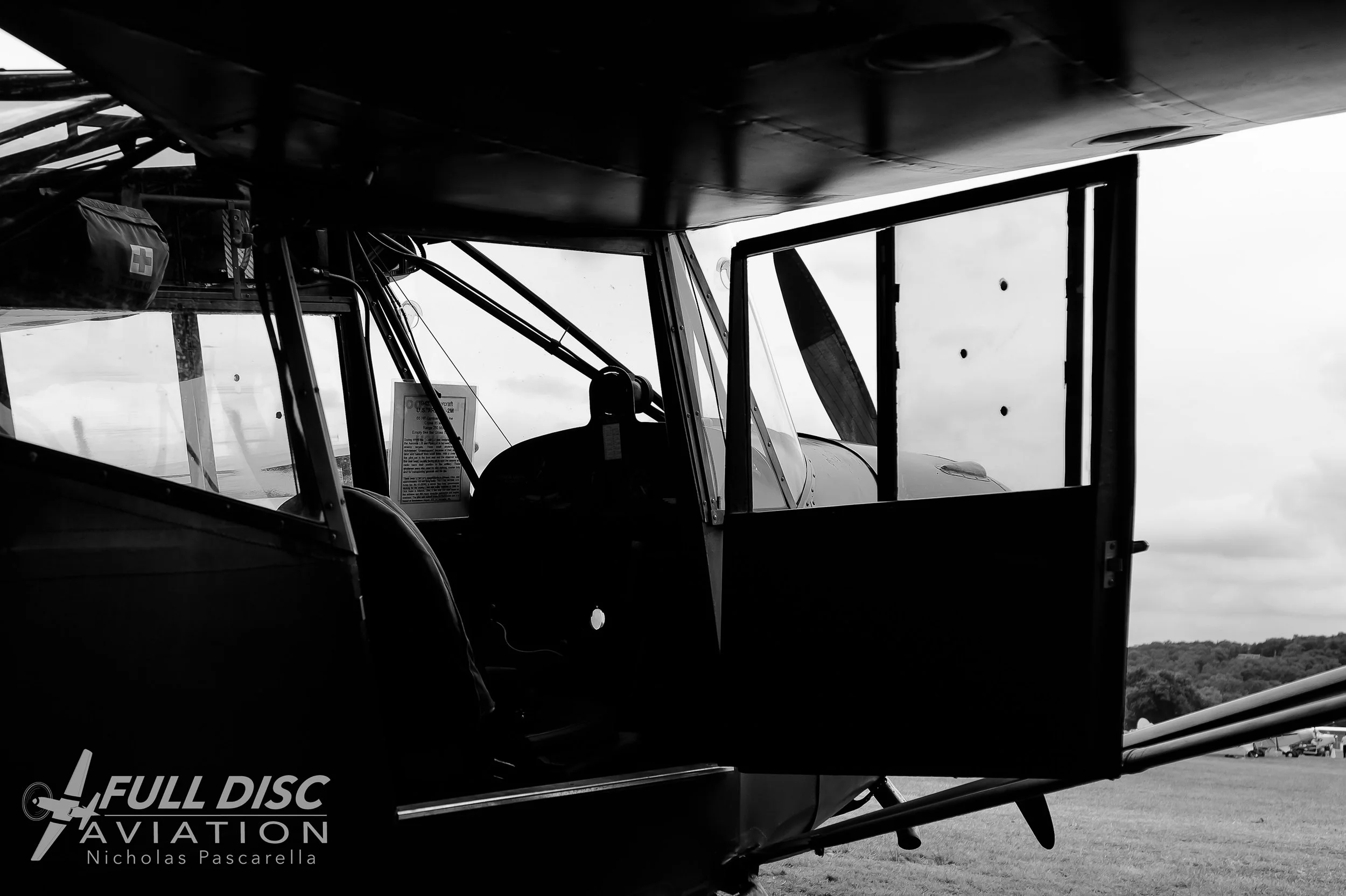 Grasshopper Pascarella-June 22, 2018-35.jpg