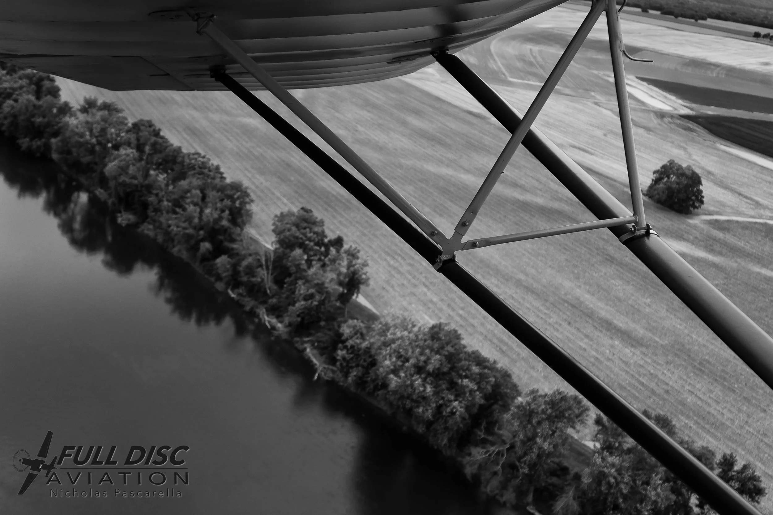 Grasshopper Pascarella-June 22, 2018-16.jpg
