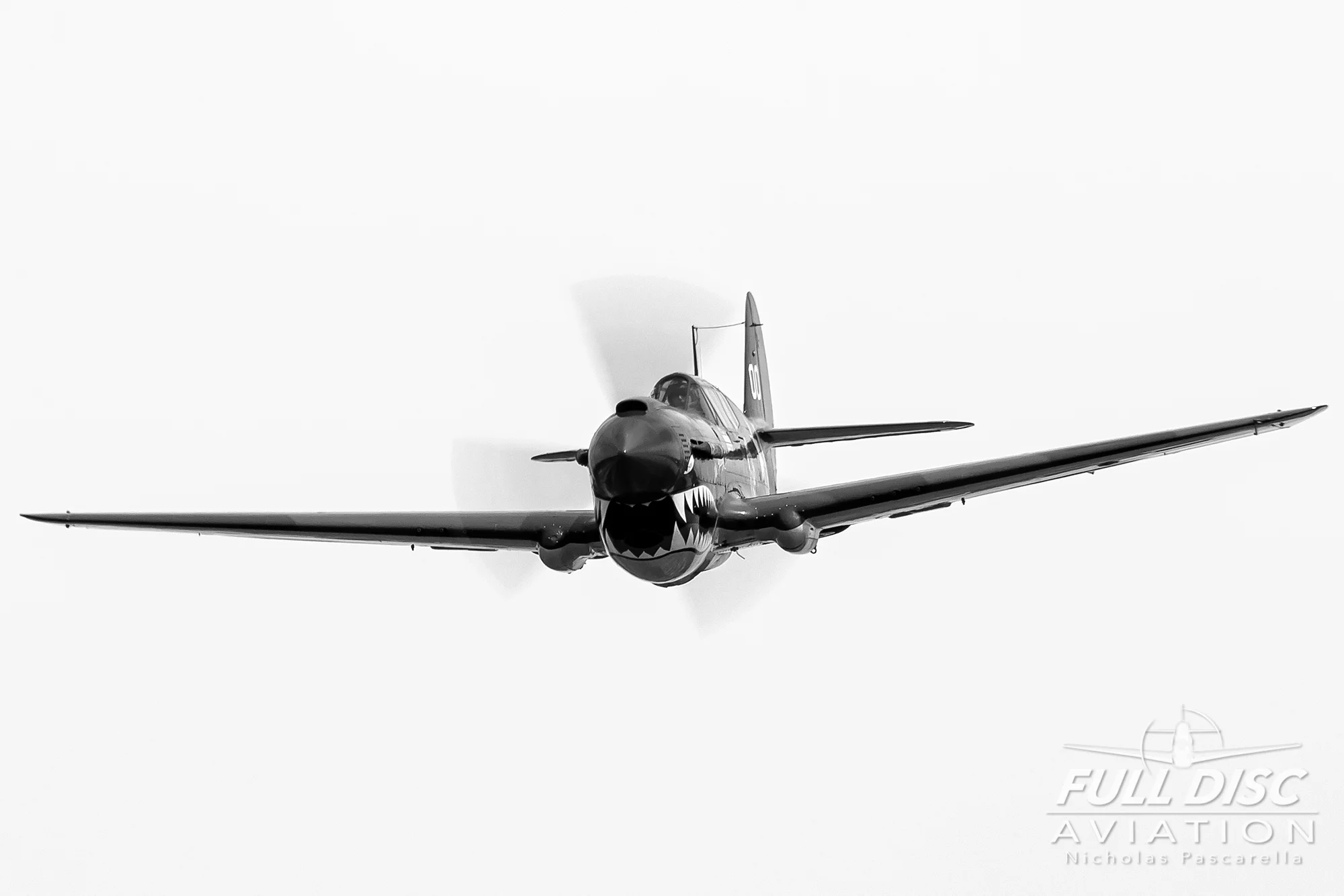 wwiiweekend_warbird_fulldiscaviation_nickpascarella_nicholaspascarella_p40_headon_blackandwhite.jpg