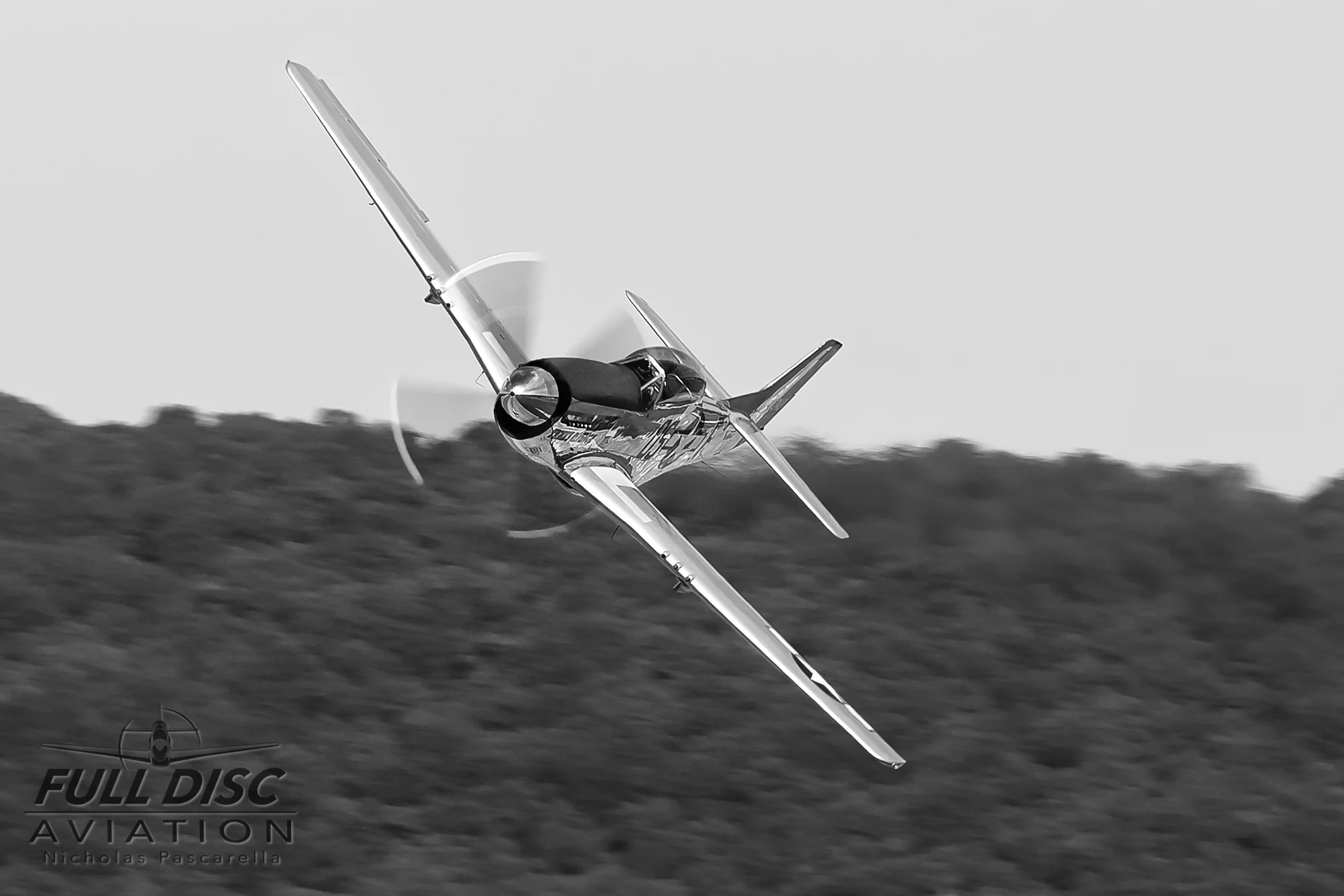 wwiiweekend_warbird_fulldiscaviation_nickpascarella_nicholaspascarella_p51_mustang_bank_blackandwhite_jelly.jpg