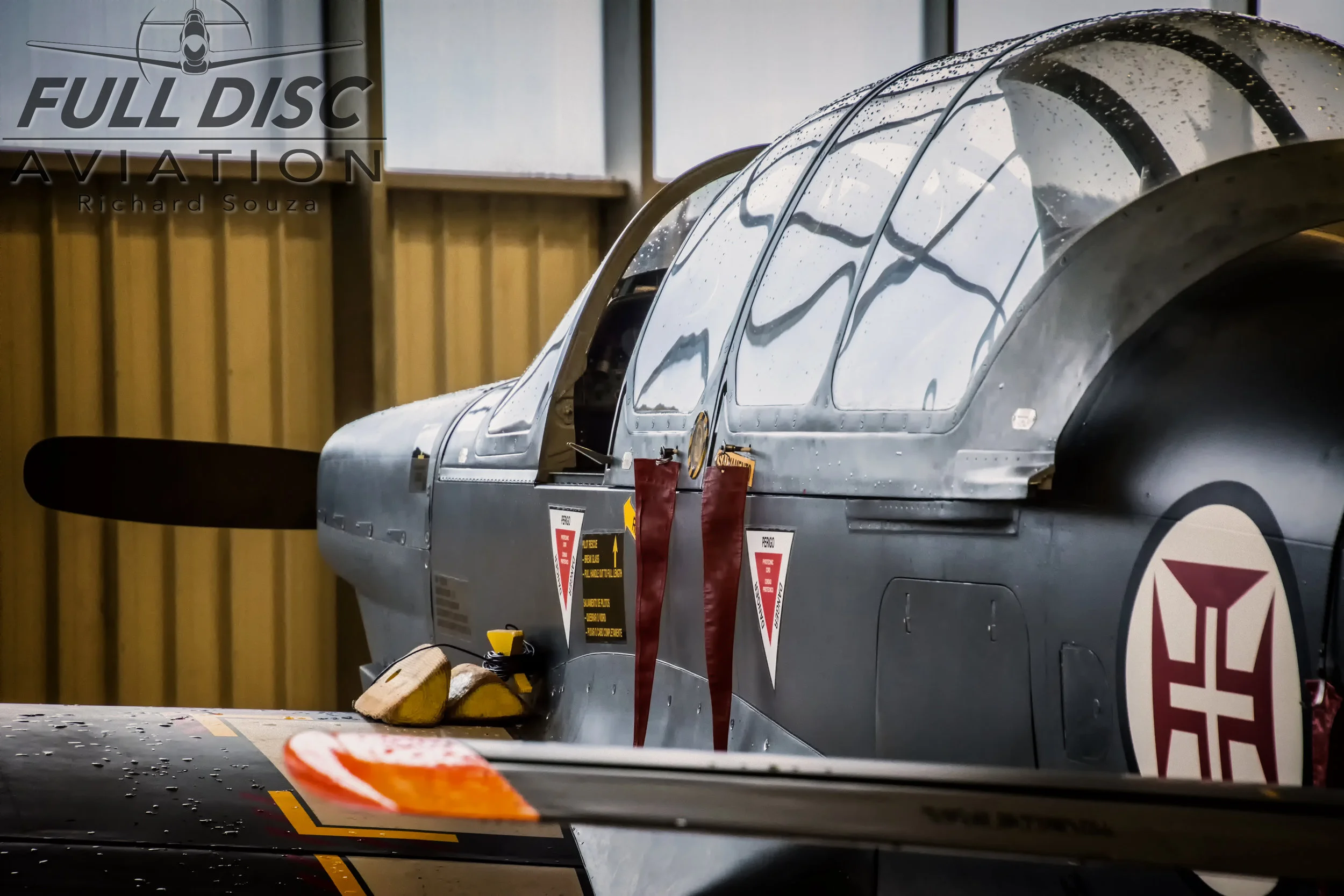 Roncos_Fulldiscaviation_RichardSouza_11.jpg