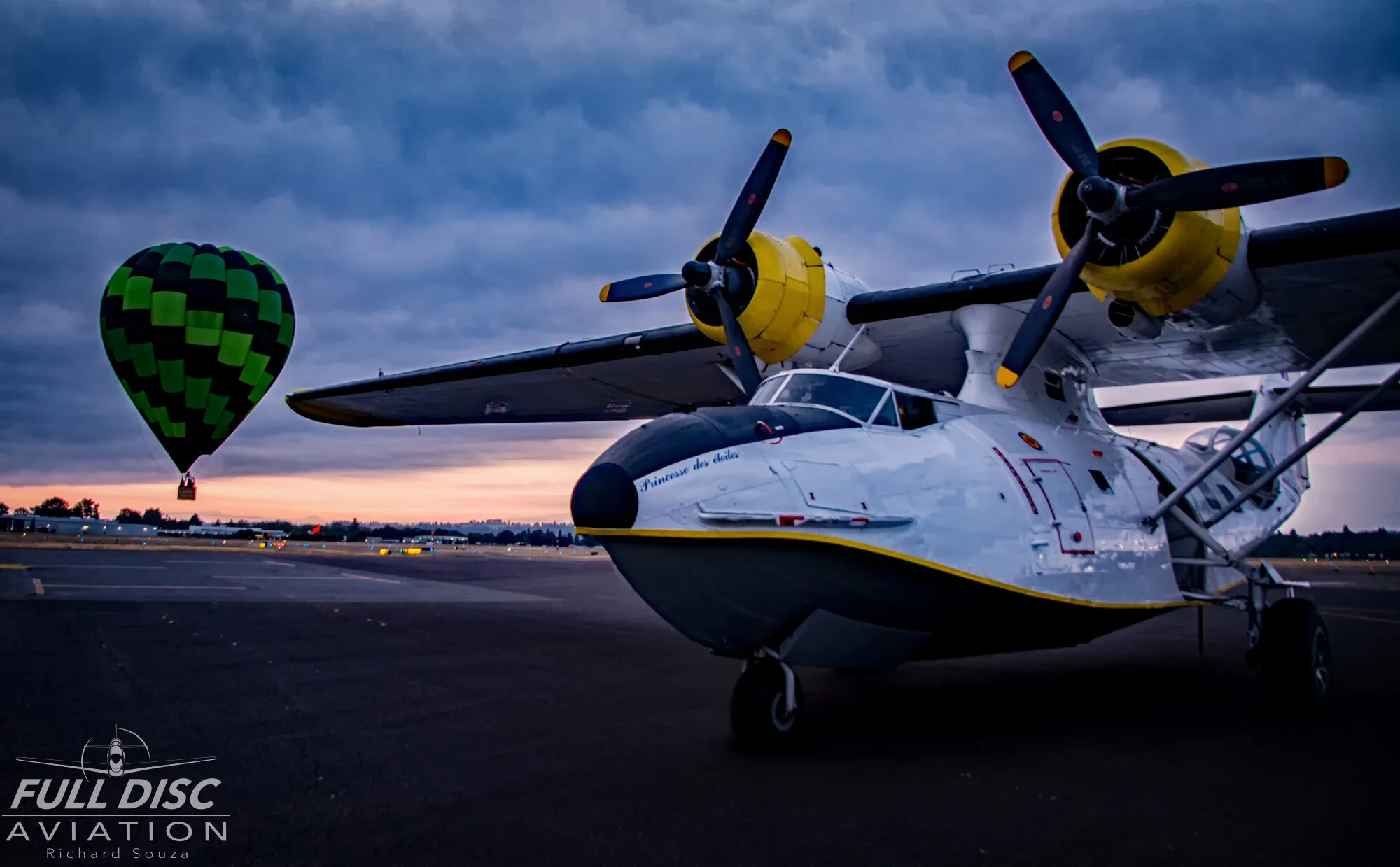 Distant Memories_Fulldiscaviation_Richardsouza  (2).jpg