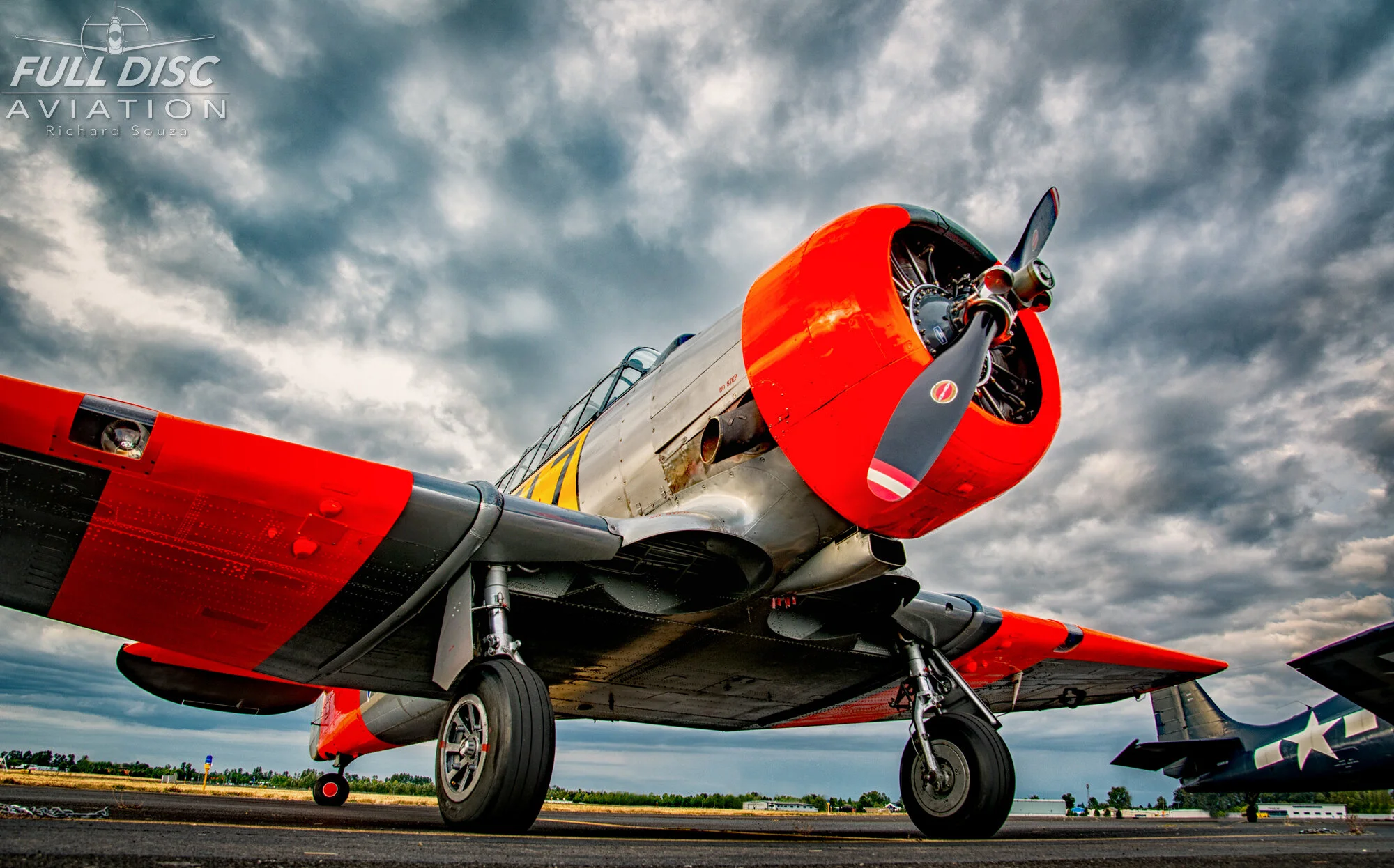 Distant Memories_Fulldiscaviation_Richardsouza  (5).jpg