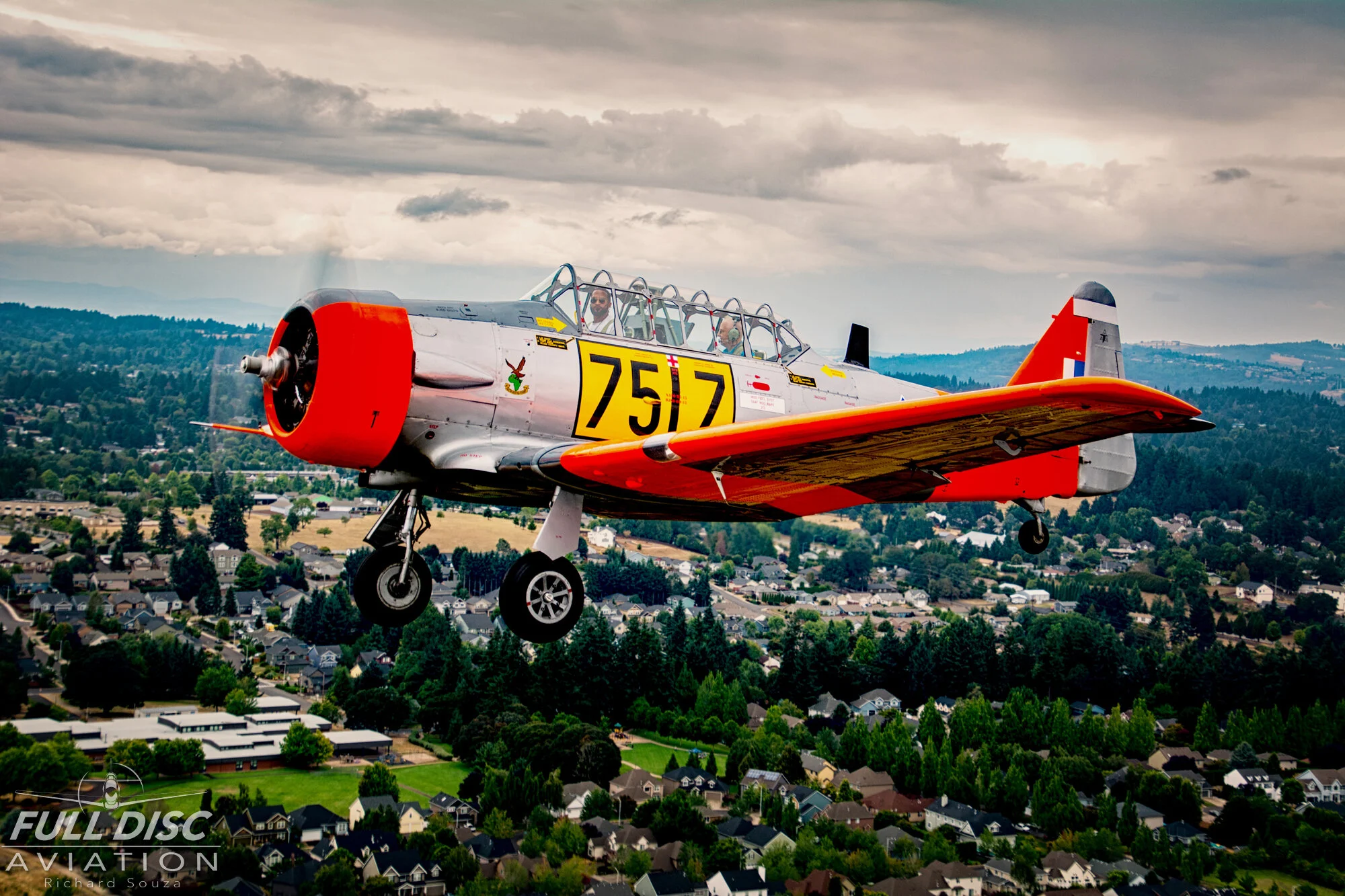 Distant Memories_Fulldiscaviation_Richardsouza  (10).jpg