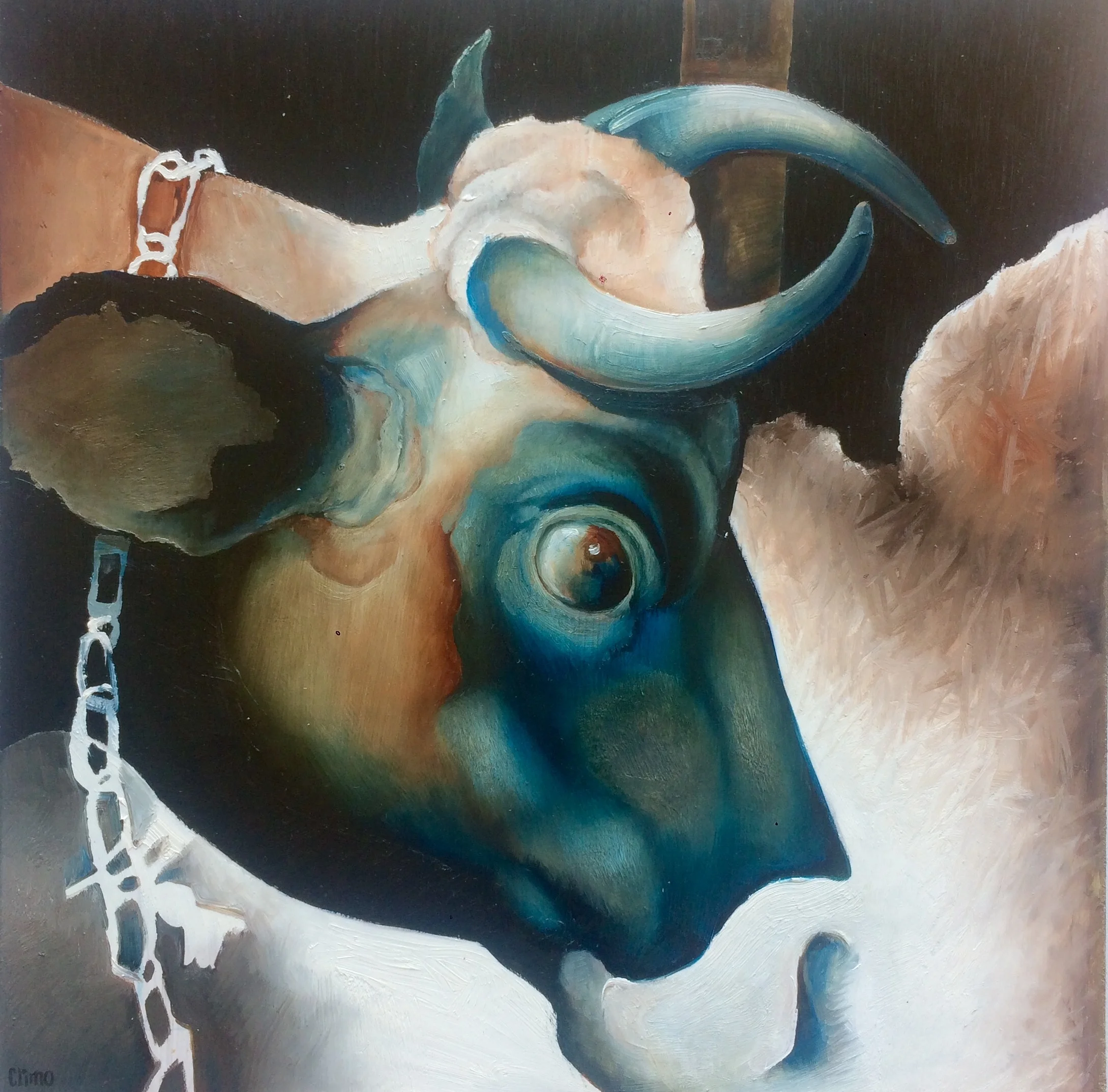 The Crooky Horned Cow