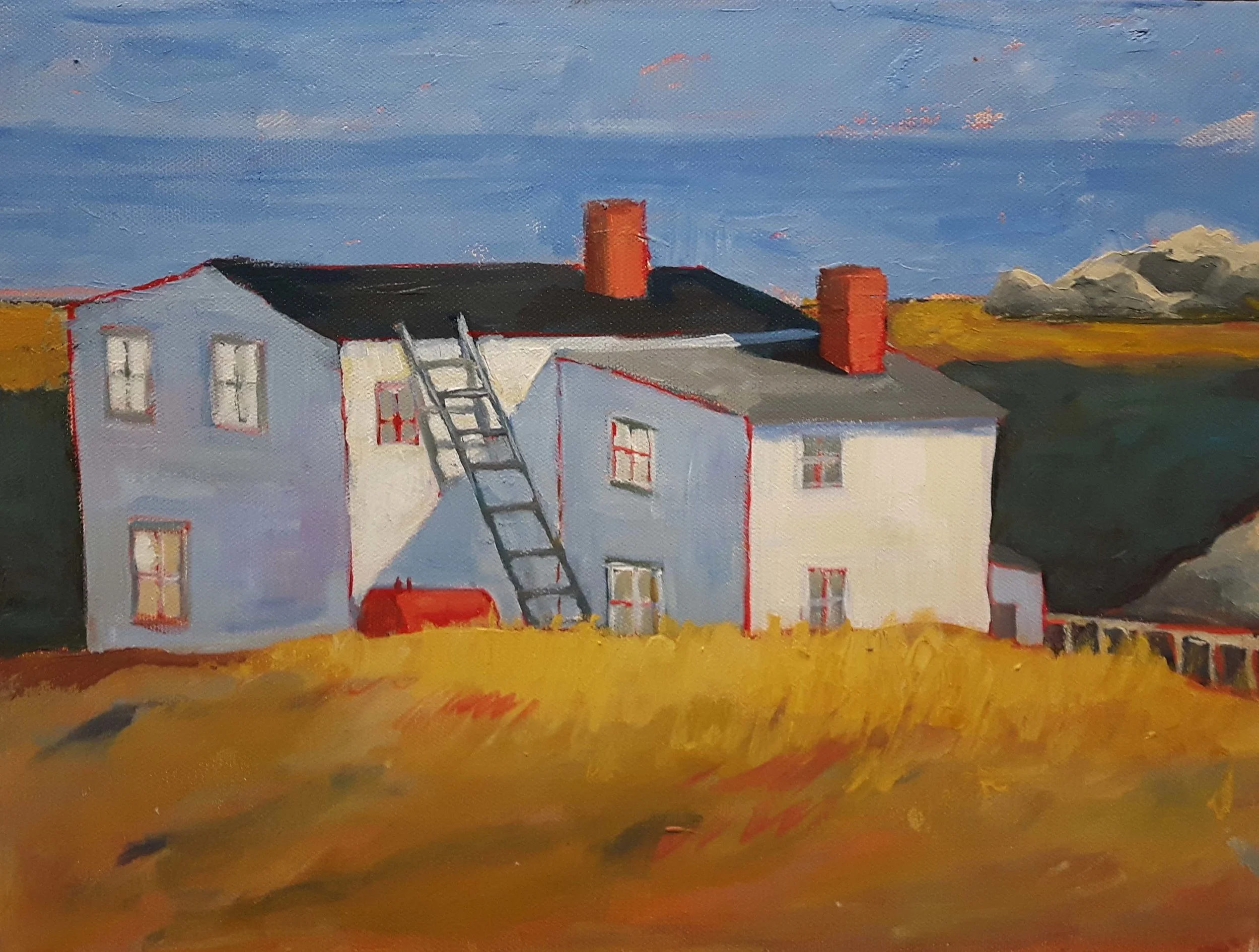 Newfoundland Vernacular