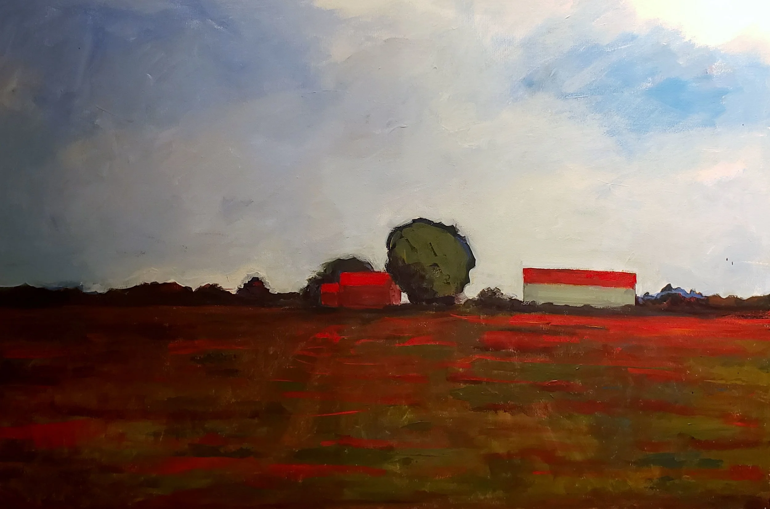 Tulip Fields by Arlene Rice