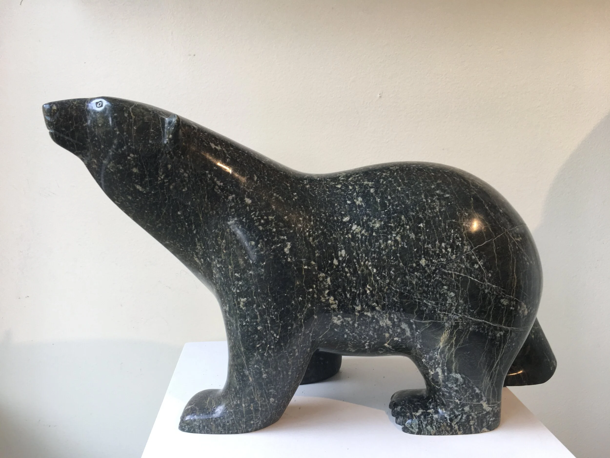 Bear, 6517M, Ashevik Adla, *Sold