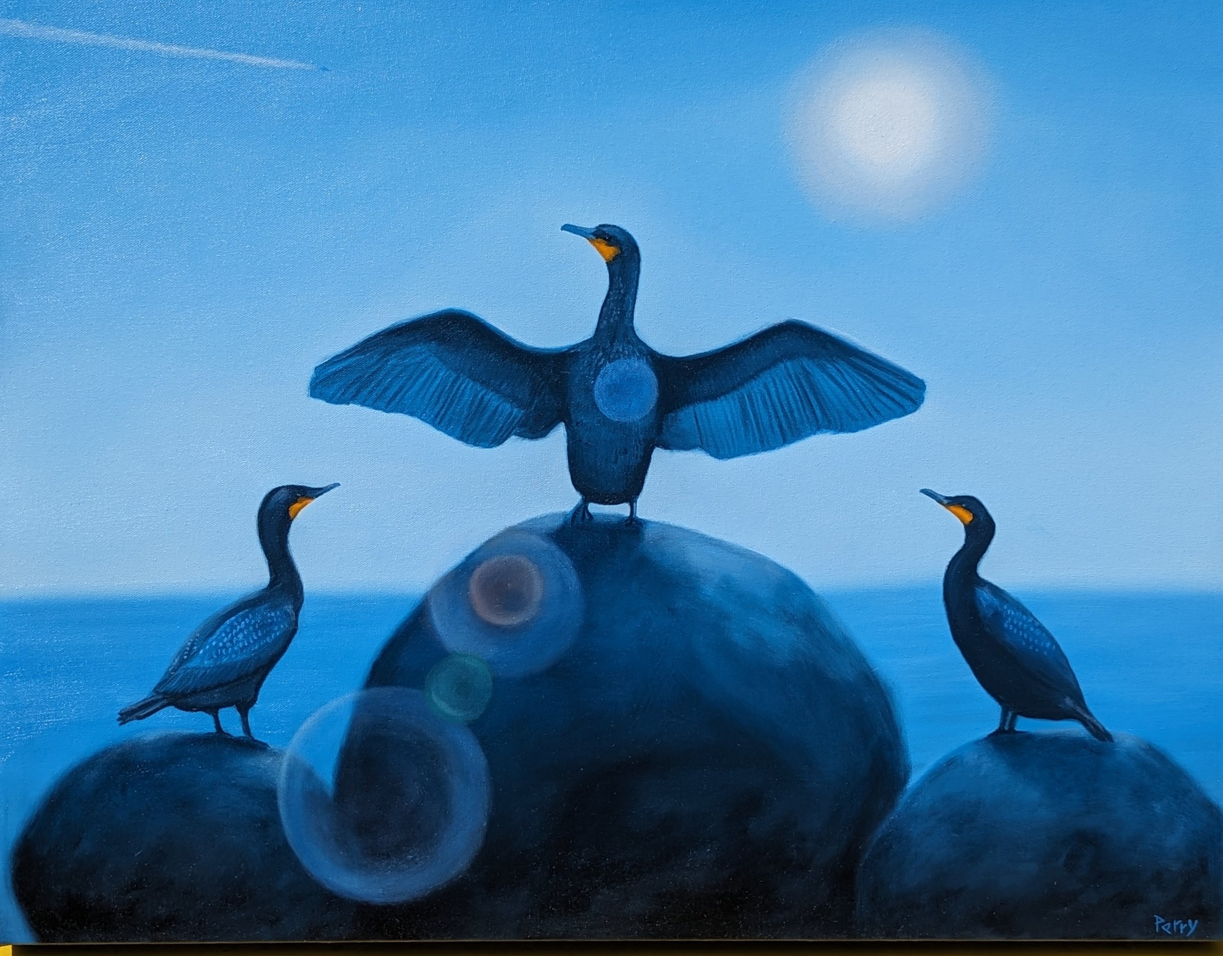 A Trinity of Cormorants