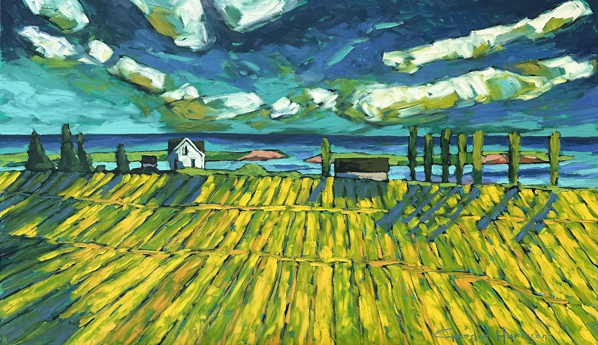 Canola Fields Collection, No. 10, PEI