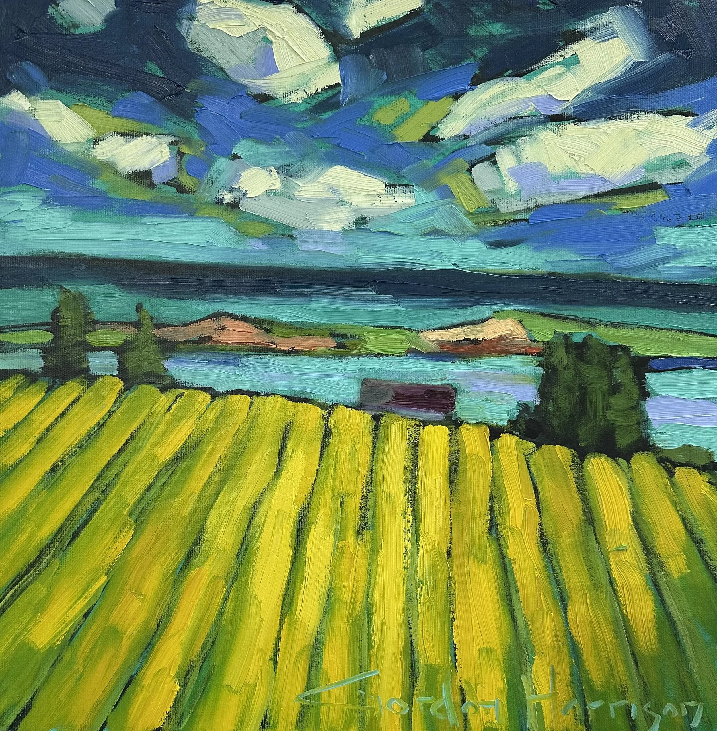 Canola Fields Collection, No. 6, PEI