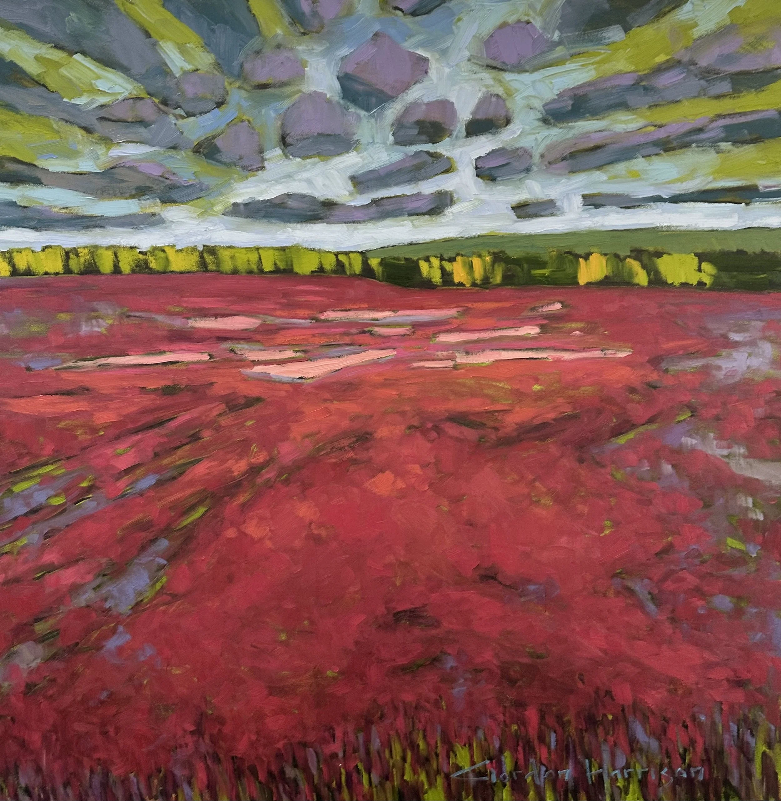 Wild Blueberry Fields Collection, No. 14, PEI