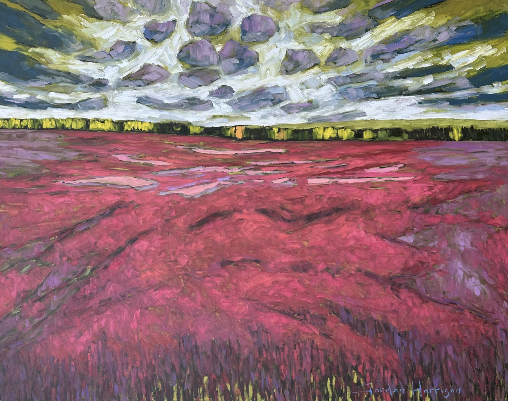Wild Blueberry Fields Collection, No. 2, PEI