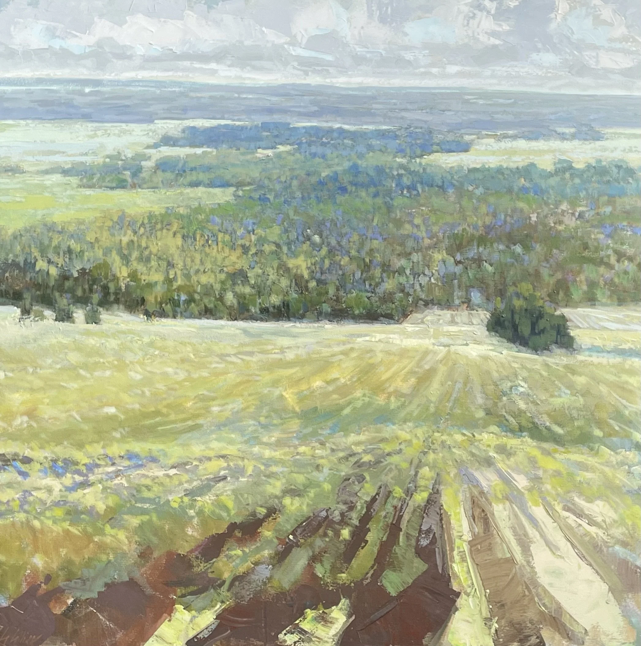 Fresh Perspective (Wheatley River, PEI), *Sold