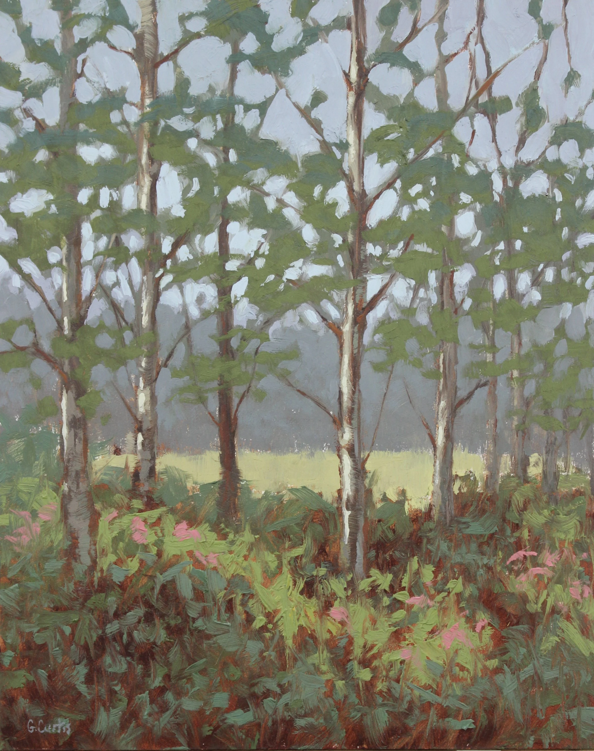Trees of Montgomery Park