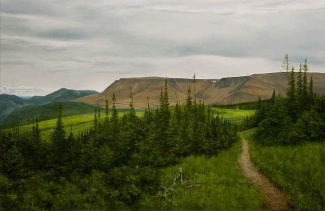 A Hike to a View of the Table Lands (NL)