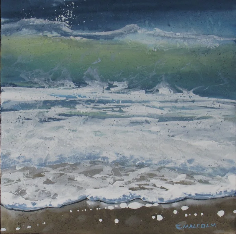 Shoreline Study 11425