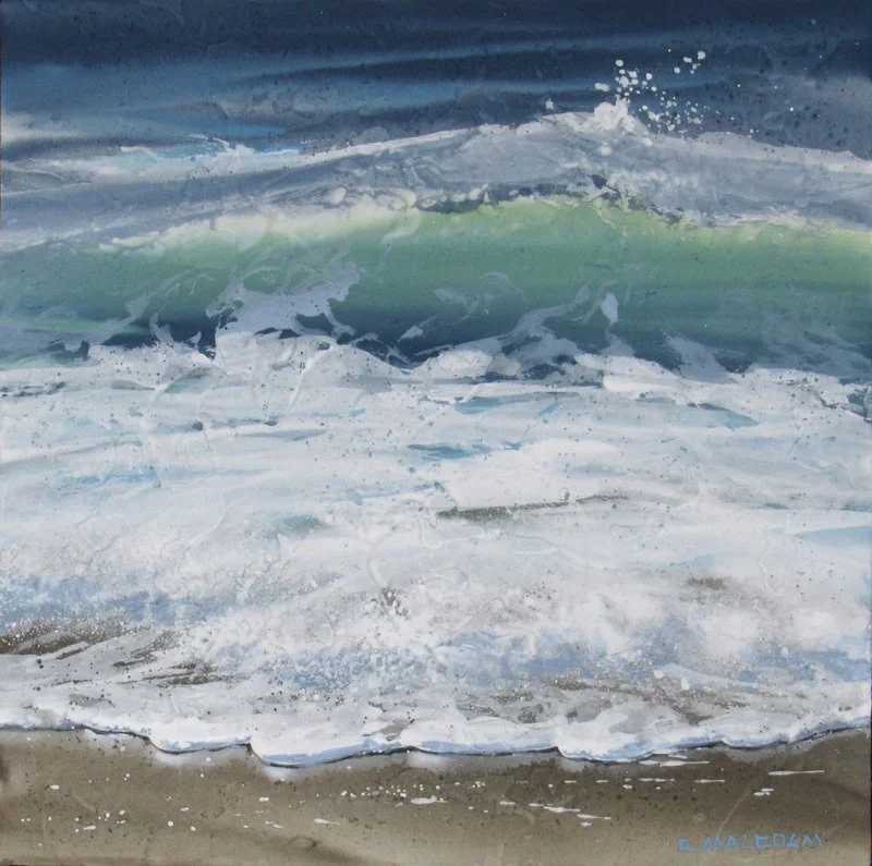 Shoreline Study 11525