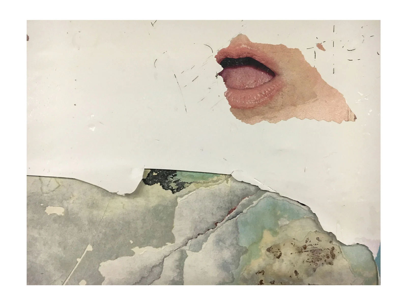5_Kevin_Shea_Adams_Peels_IMG_2015.jpg