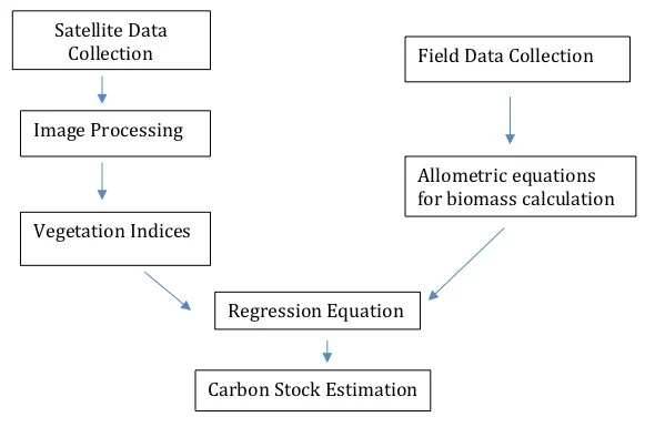 Carbon Stock Workflow