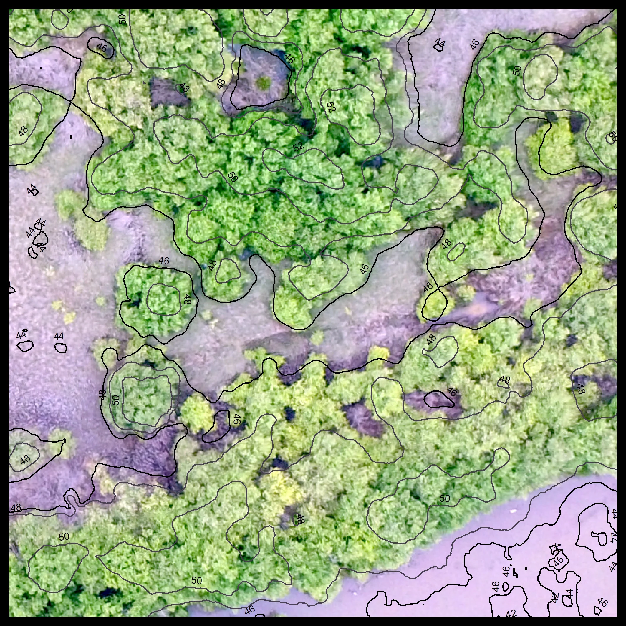 We use imagery from UAVs to calculate the heights and volume of individual mangrove trees, and can use this information to calculate the above-ground carbon stock within a given area.