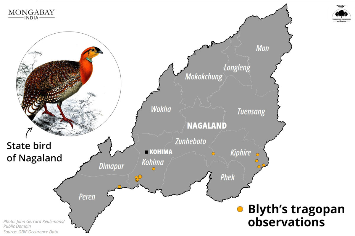 Nagaland's first bird count event spells hope for bird and wildlife documentation in the state (1).png