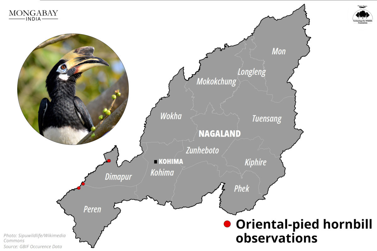 Nagaland's first bird count event spells hope for bird and wildlife documentation in the state (3).png