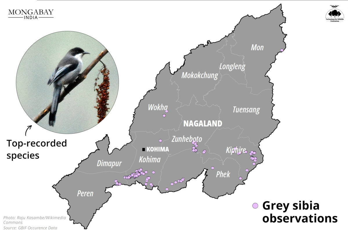 Nagaland's first bird count event spells hope for bird and wildlife documentation in the state (5).png