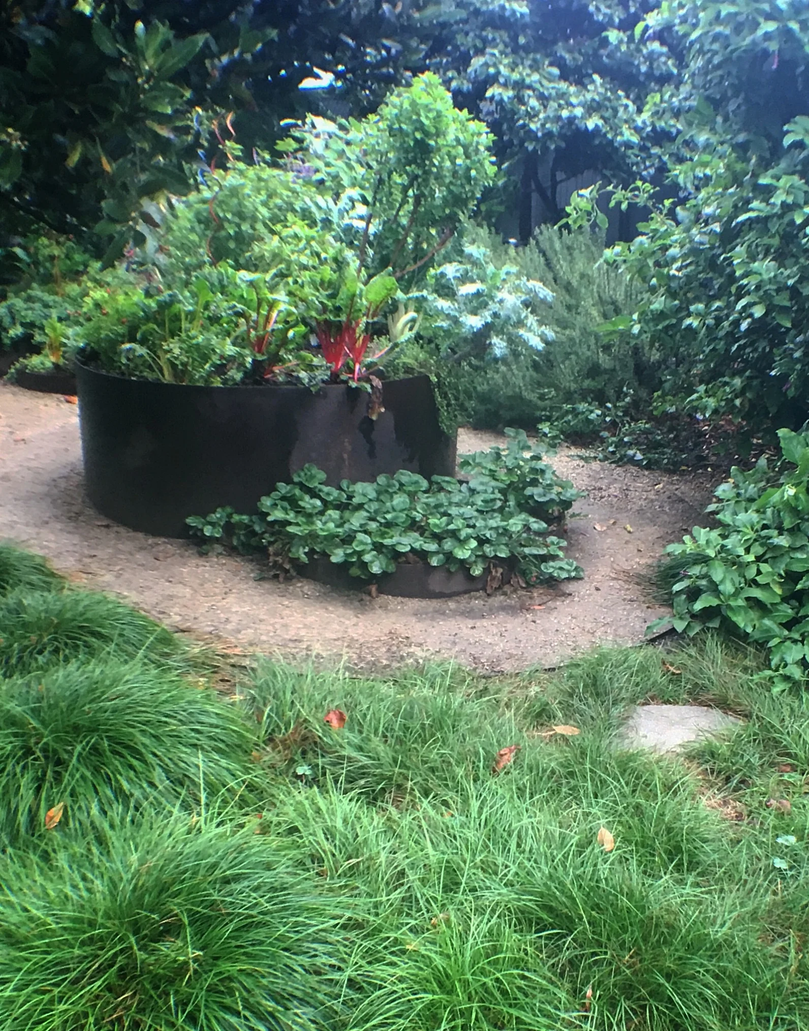 prefab raised garden beds on Services Weeds Garden Design