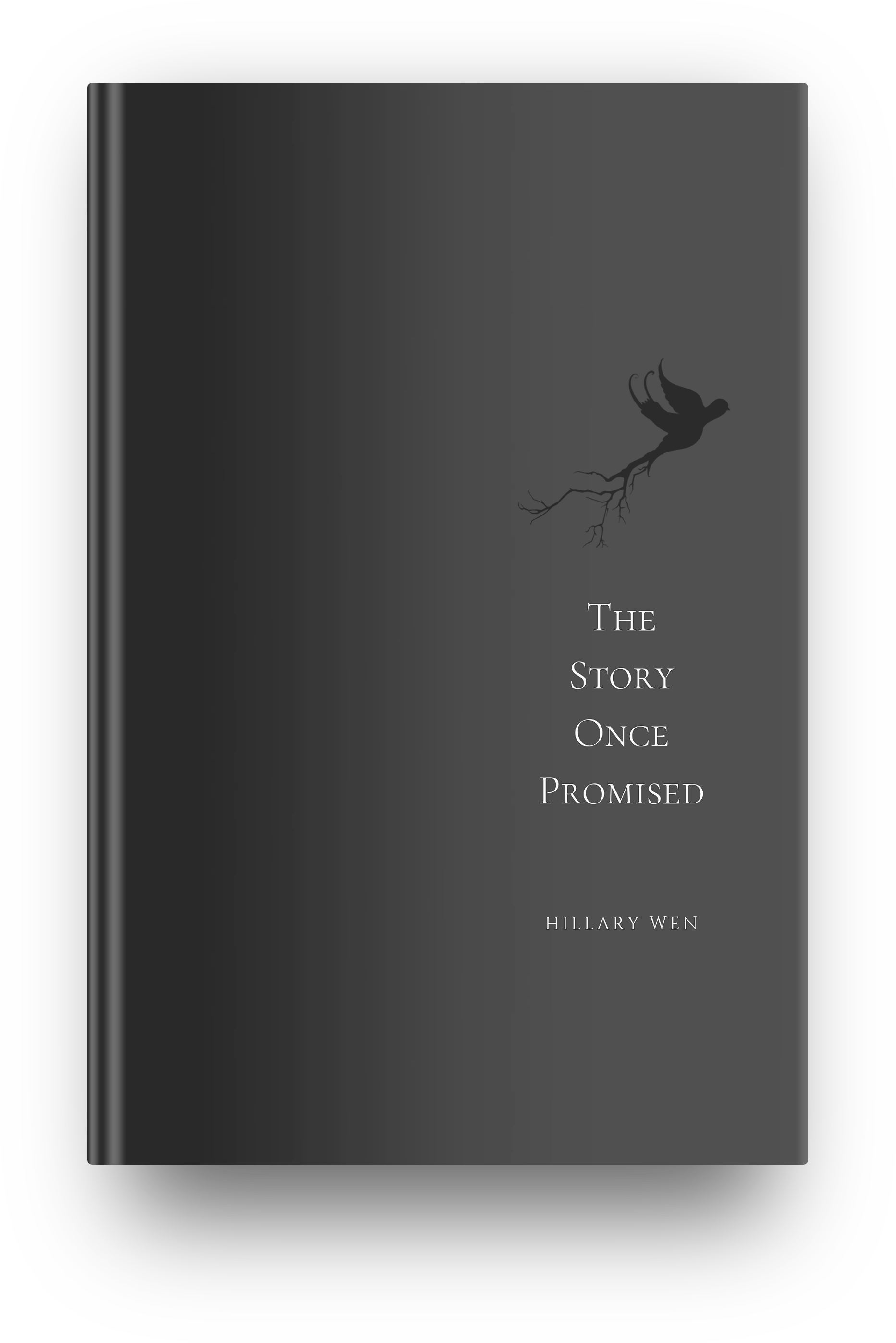 The Story Once Promised By Hillary Wen