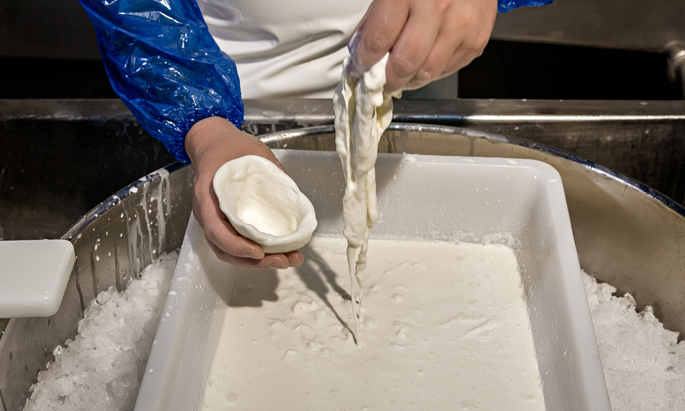  Thanks to www.burratadiandria.it 